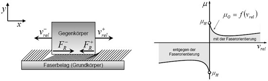 Anisotropes Reibmodell